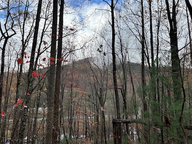 Lt19-21 Earl Shelton Rd, Blairsville, GA 30512 - photo 4