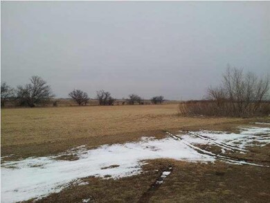 ANOTHER VIEW FROM BACK YARD