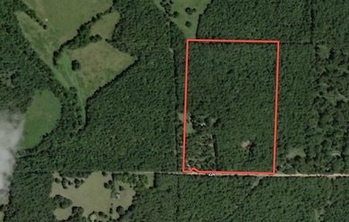 Screenshot 2025-11-06 at 11.57.22AM