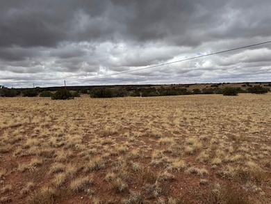 0 County Rd unit 25705421, Concho, AZ 85924 - photo 2