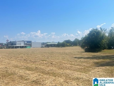 0 Elm St unit m&b 21432126, Oxford, AL 36203 - photo 5