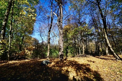 2 Thaxter Rd, Newtonville, MA 02460 - photo 4