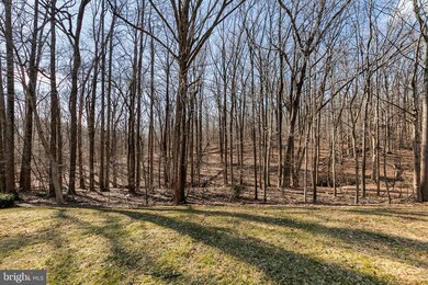 14432 Pebble Hill Ln, North Potomac, MD 20878 - photo 4