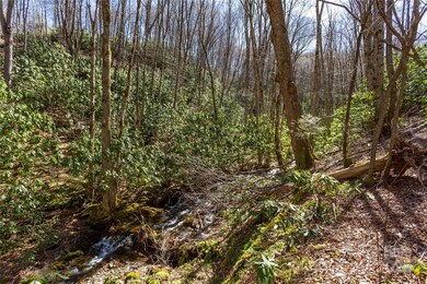 Lot 50 Bearwallow Ridge Trail unit 50, Qualla, NC 28779 - photo 7
