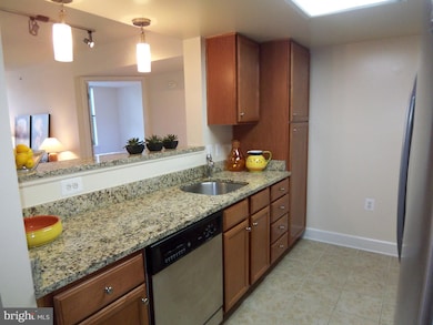 Carlton House @ Reston Town Center unit 608, Reston, VA 20190 - photo 3