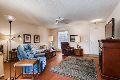 9727 N 105th Drive Sun City AZ-large-006