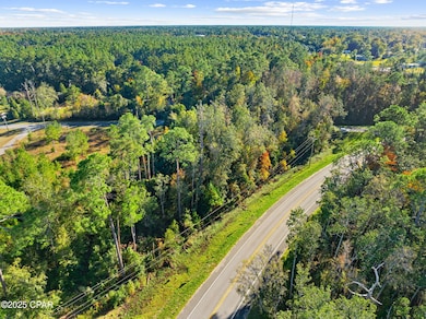 135 Canning Dr, Wewahitchka, FL 32465 - photo 3