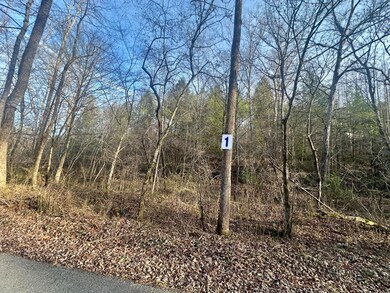 Lot 1 Radford Rd, East Bernstadt, KY 40729 - photo 5