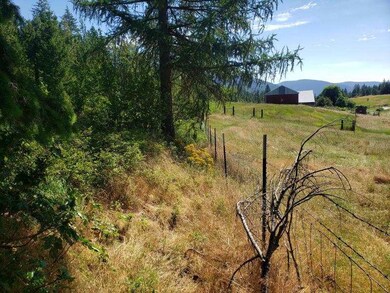2501 Highline Lot 7 Rd, Chewelah, WA 99109 - photo 6