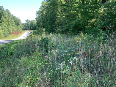 Clear Fork 2