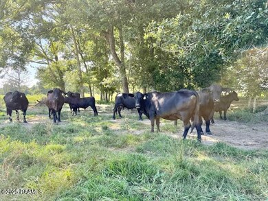 Tbd Judice Rd, Sunset, LA 70584 - photo 7