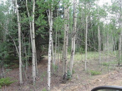 52 Chukar Ln, Como, CO 80432 - photo 4