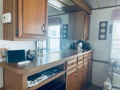 9373 Muskrat Dr, Weeki Wachee, FL 34613 - photo 3