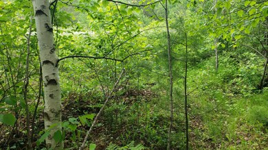 101 Swamp Lake Rd, Tomahawk, WI 54487 - photo 7