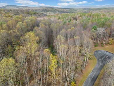 Lot 14 Highpoint Ridge Ct, Ellijay, GA 30536 - photo 4