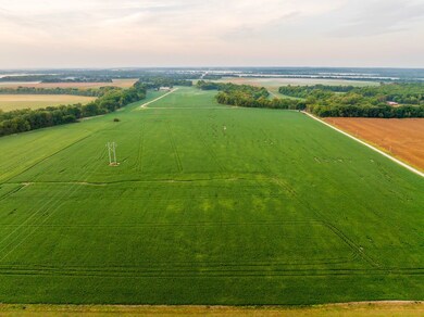 3497 SW County Road 1067, Butler, MO 64730 - photo 4