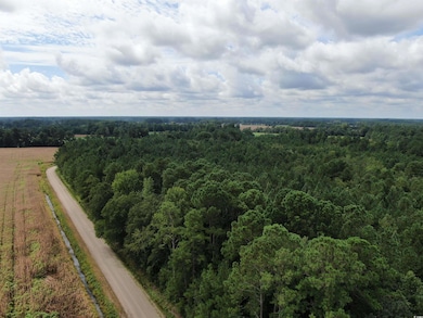 Overview of rural landscape