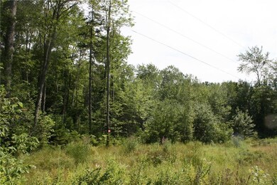 Small field area with wild flowers...