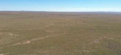 County Road A009, Des Moines, NM 88418 - photo 7