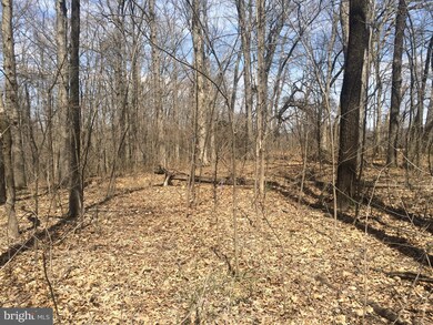 0 Mount Gilead Rd unit 1000326486, Leesburg, VA 20175 - photo 2