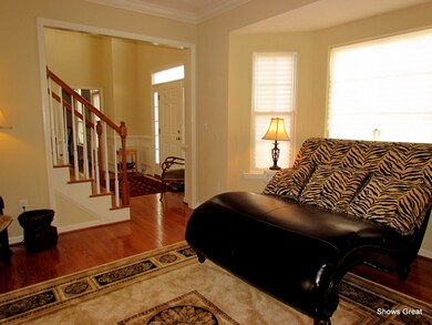Living Room 2