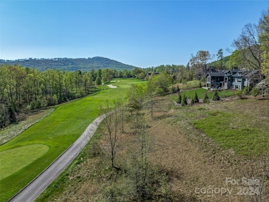 550 Walnut Valley Pkwy unit LOT 153, Arden, NC 28704 - photo 3