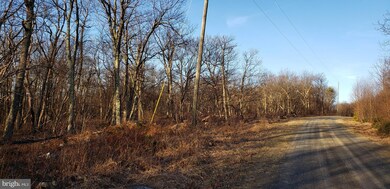 265 S Branch Mountain Rd, Moorefield, WV 26836 - photo 7