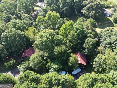 3787 Webster Lake Rd, Cleveland, GA 30528 - photo 4