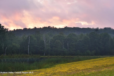 120 Route 203, Austerlitz, NY 12017 - photo 3