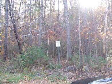 0 Federal Rd unit 1514191, Parsonsfield, ME 04020 - photo 2