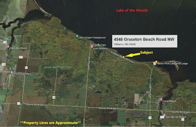 4548 Graceton Beach Rd NW, Williams, MN 56686 - photo 3