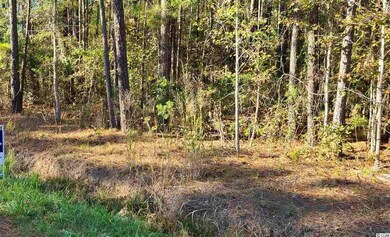 0 Pitch Landing Rd unit 2024472, Conway, SC 29527 - photo 2