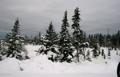 Winterscape