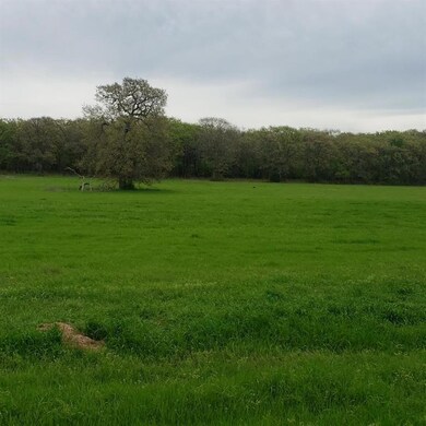 200 N Katy Ranch Ct, Weatherford, TX 76085 - photo 3