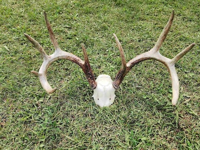 18 Ac Healy Rd, Springvale, WI 53923 - photo 3