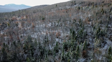 Lot 1 & 2 Thistle St, Upton, ME 04261 - photo 5