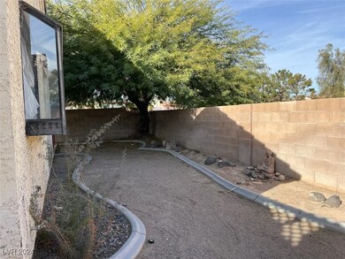 backyard 1