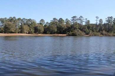 15 Wheelwright Cir, St. Simons Island, GA 31522 - photo 4