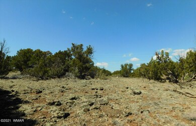 1854 Rainbow Cir Show Low, AZ 85901