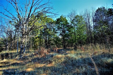 596 Sycamore Hills Loop, Gordonville, TX 76245 - photo 2