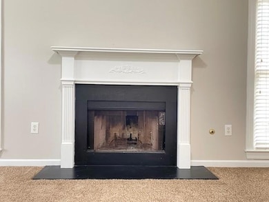 Detailed view of a fireplace with flush hearth, carpet, and baseboards