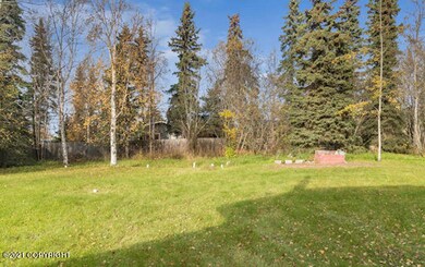 PIC_Back yard