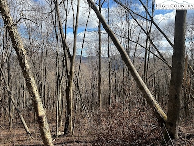 7 Woodfern Way, Todd, NC 28684 - photo 4