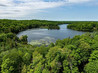 Off Pomeroy Lake Rd unit Lot 27, North of Presque Isle, MI 49947 - photo 2
