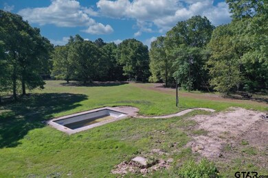 10698 County Road 2222, Arp, TX 75750 - photo 4