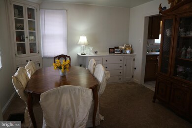 317 Winston Ave, Wilmington, DE 19804 - photo 4