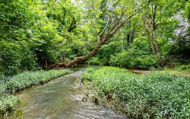 2 Creeks on Property Lines