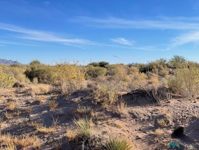 XXXX Pecos Rd SW, Deming, NM 88030 - photo 4