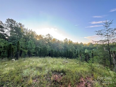 Build Site Surrounded by Trees