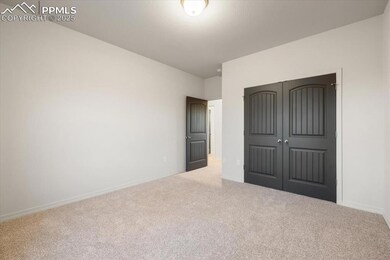 Unfurnished bedroom featuring carpet flooring, baseboards, and a closet